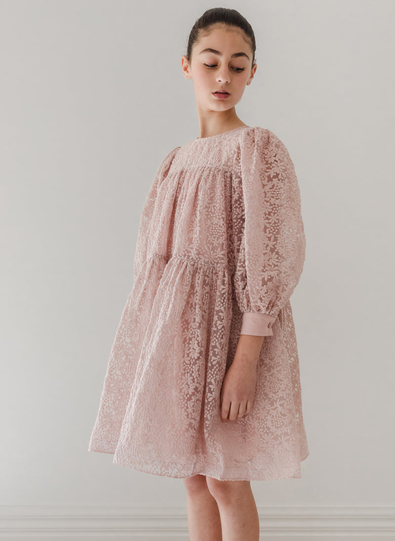 Petite Amalie Embroidered Organza Babydoll Dress