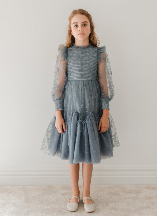 Petite Amalie Flocked Velvet Tulle Dress