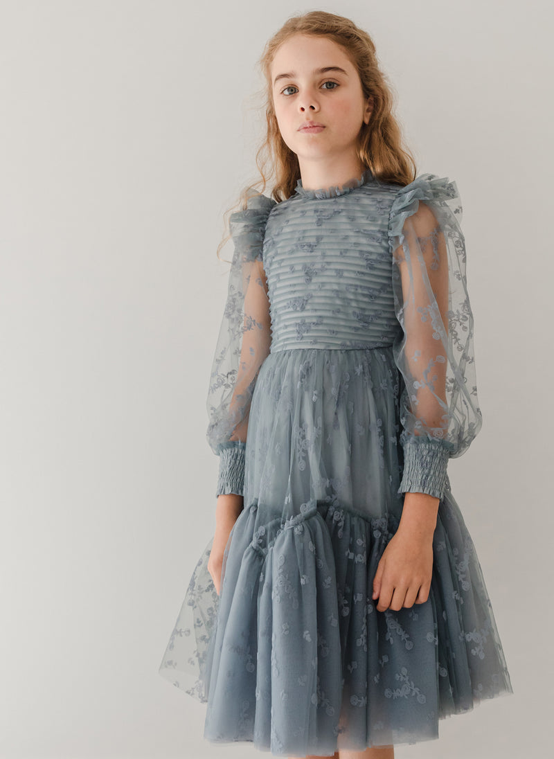 Petite Amalie Flocked Velvet Tulle Dress