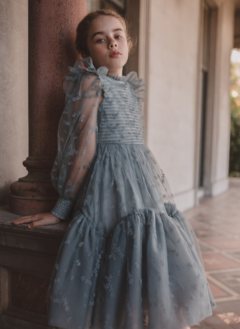 Petite Amalie Flocked Velvet Tulle Dress