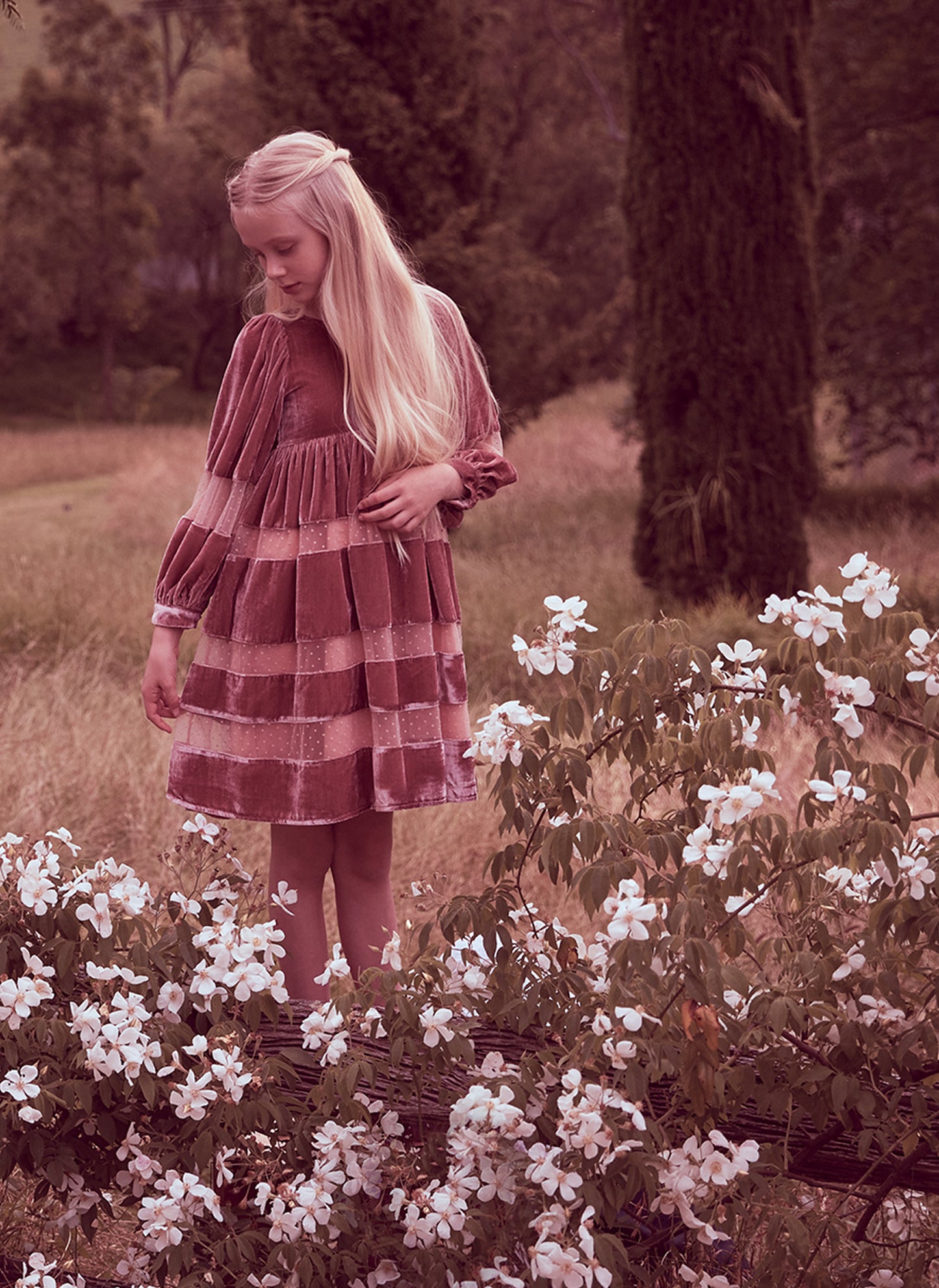 Petite Amalie Layla Dress